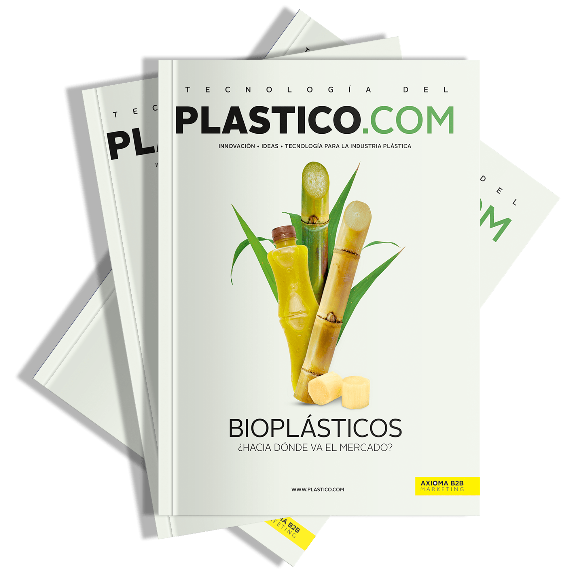 REVISTA TP